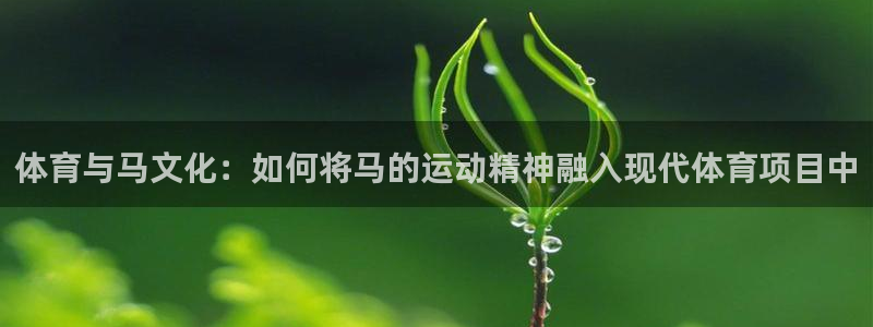 中欧体育kok官网首页