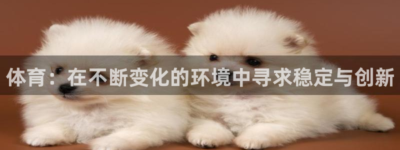 中欧体育zoty下载