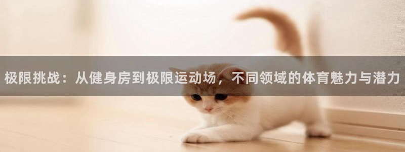 中欧体育网站