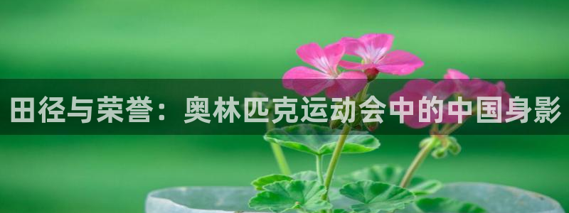 中欧体育app