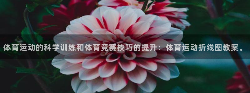 中欧体育官网入口：体育运动的科学训练和体育竞赛技巧的提升：体育运动折线图教案。