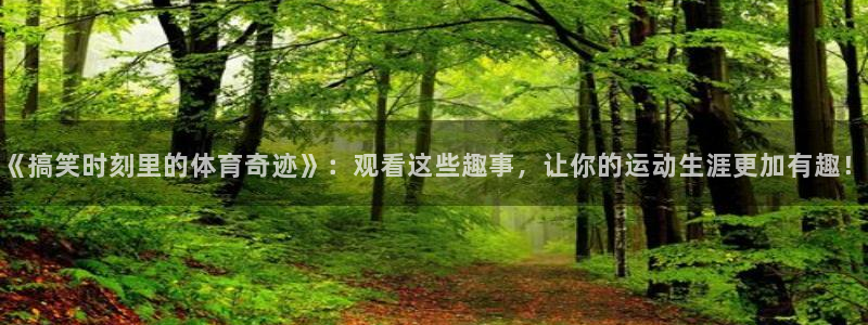 中欧体育kok