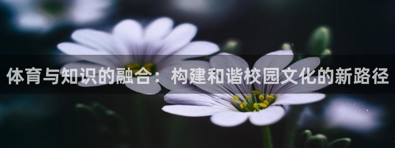 中欧体育网站