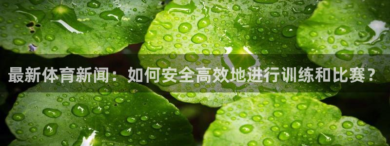zoty中欧体育平台：最新体育新闻：如何安全高效地进行训练和比赛？