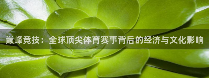 中欧体育客服：巅峰竞技：全球顶尖体育赛事背后的经济与文化影响